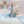 BB_BOG_Full-FittedOnly4