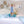 BB_CW_Full-FittedOnly4